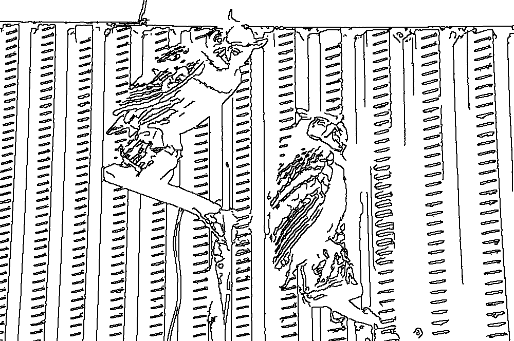 Owl 36
