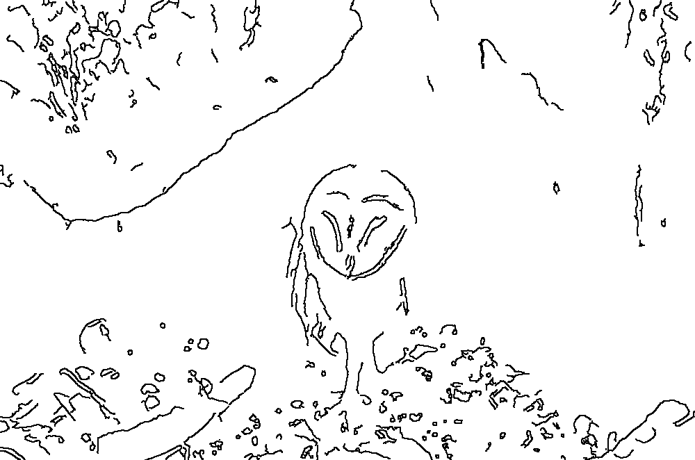 Owl 57