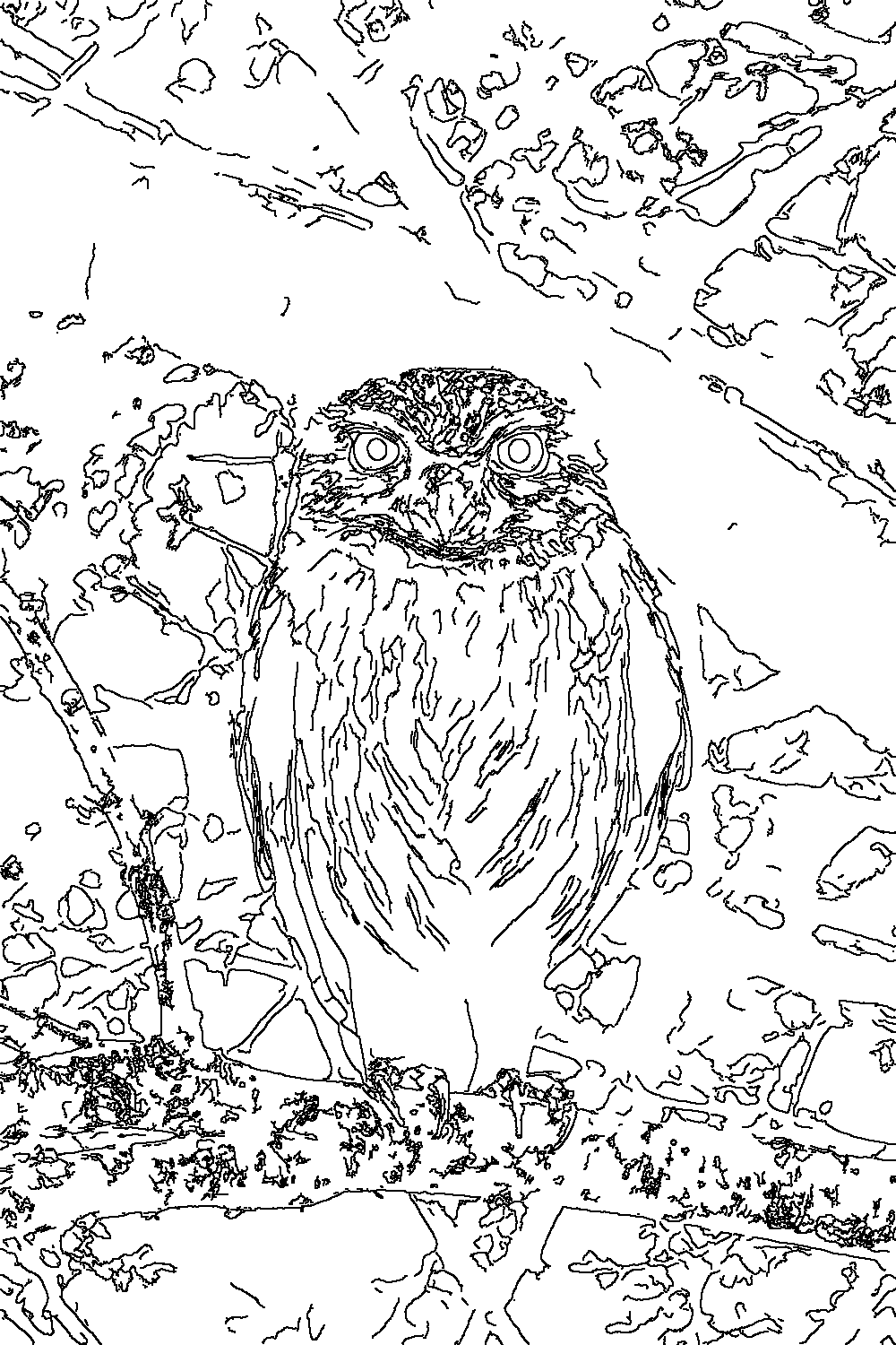 Owl 83