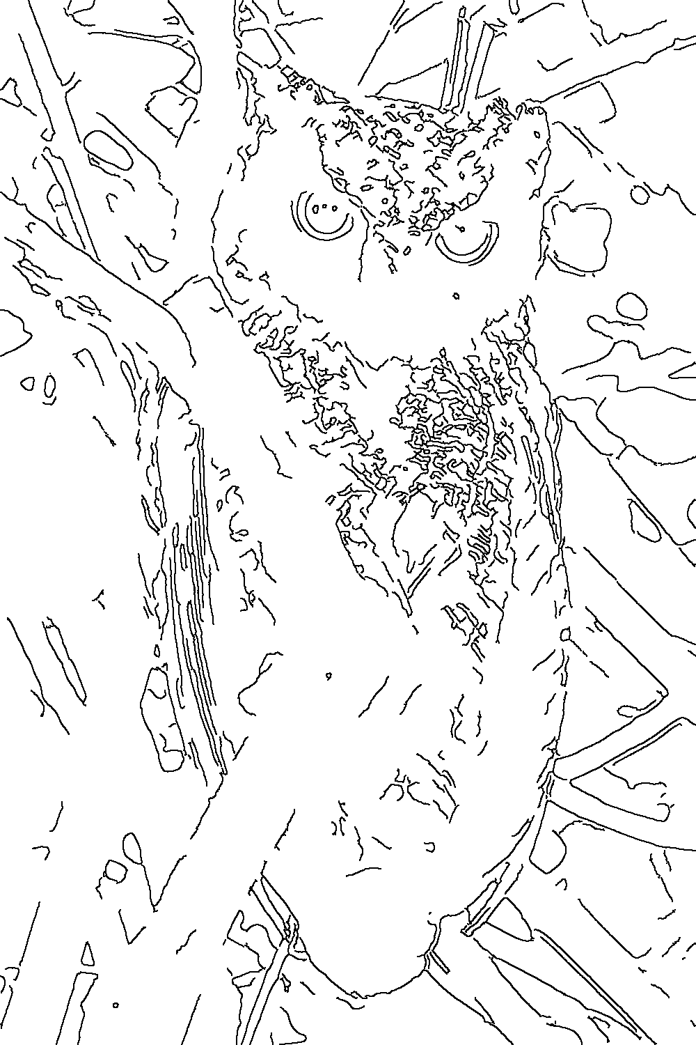 Owl 90