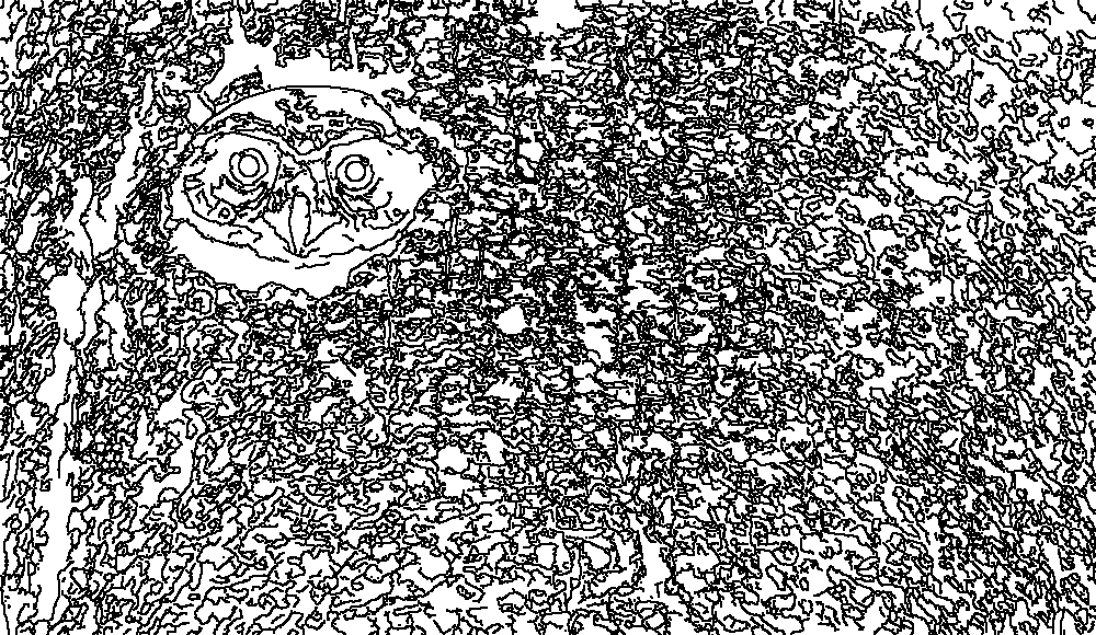 Owl 93
