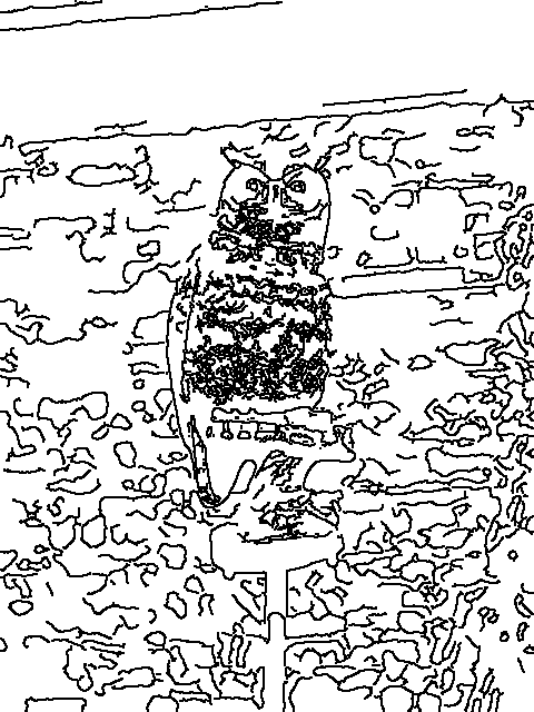 Owl 94