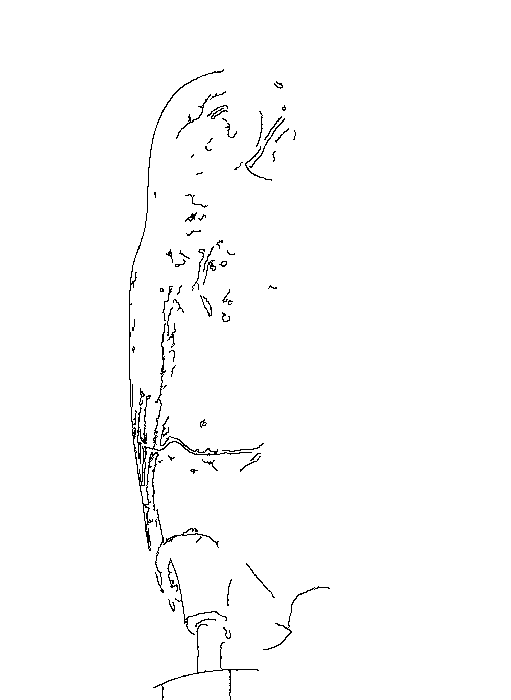 Owl 96