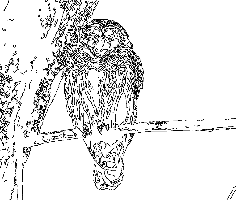 Owl 105