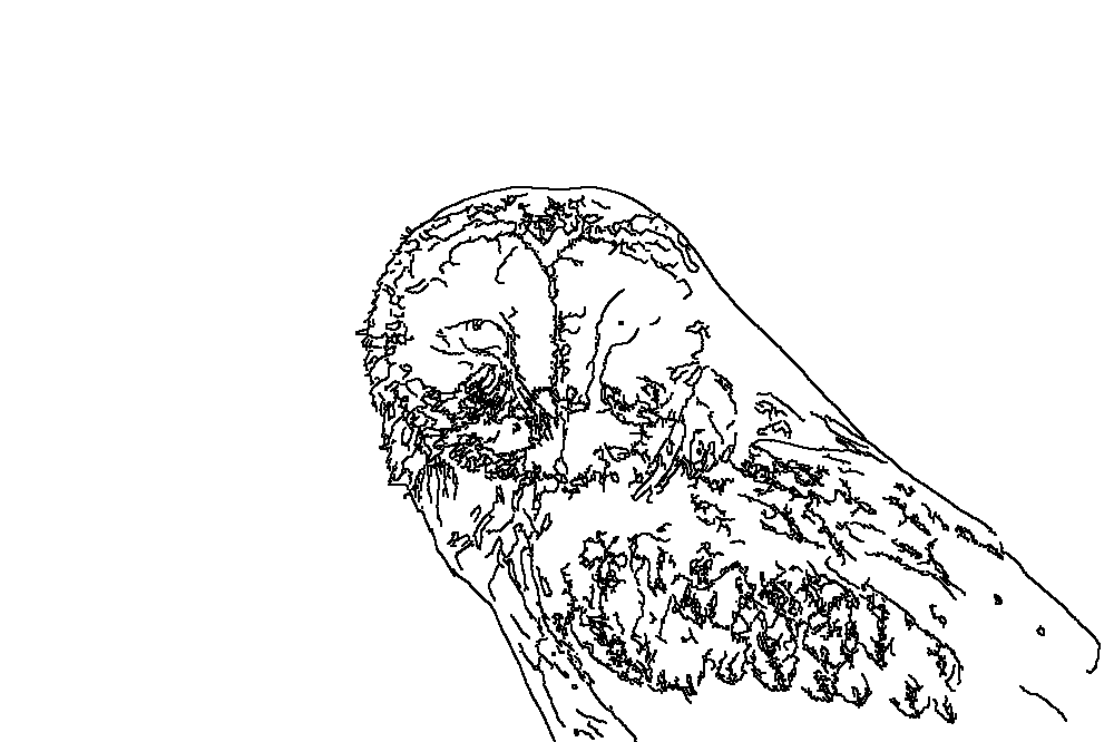 Owl 110