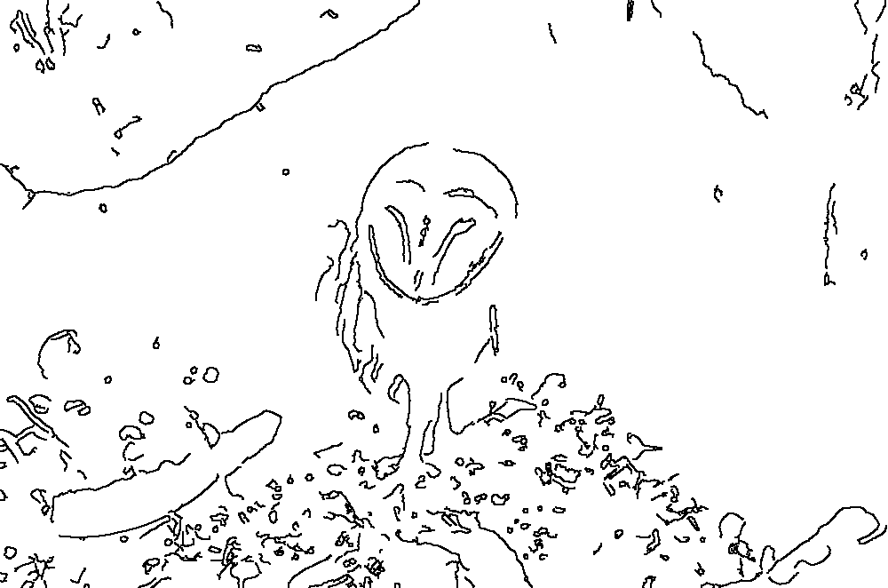 Owl 112