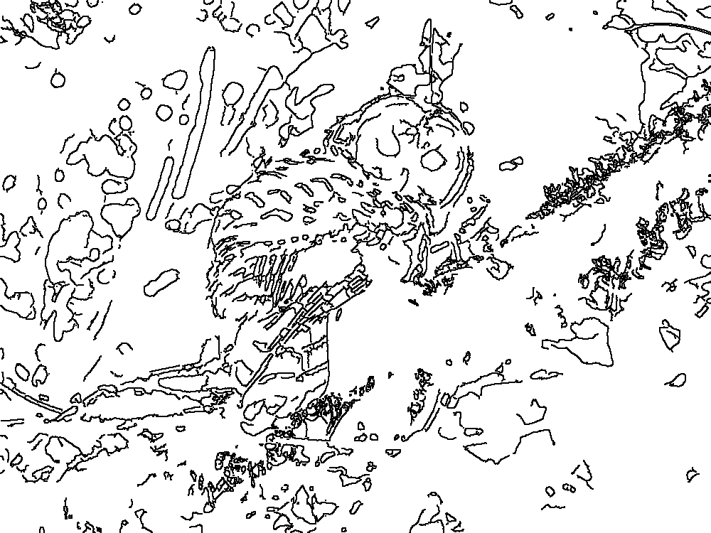 Owl 122