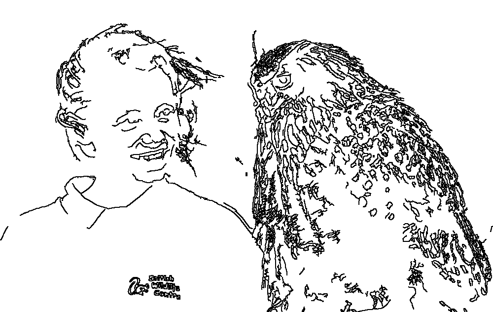 Owl 128