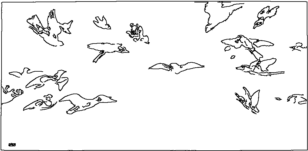 Owl 131