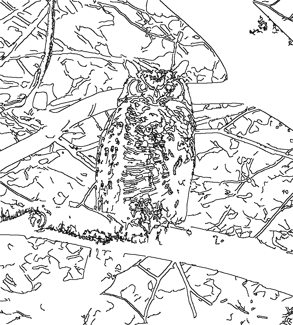 Owl 133