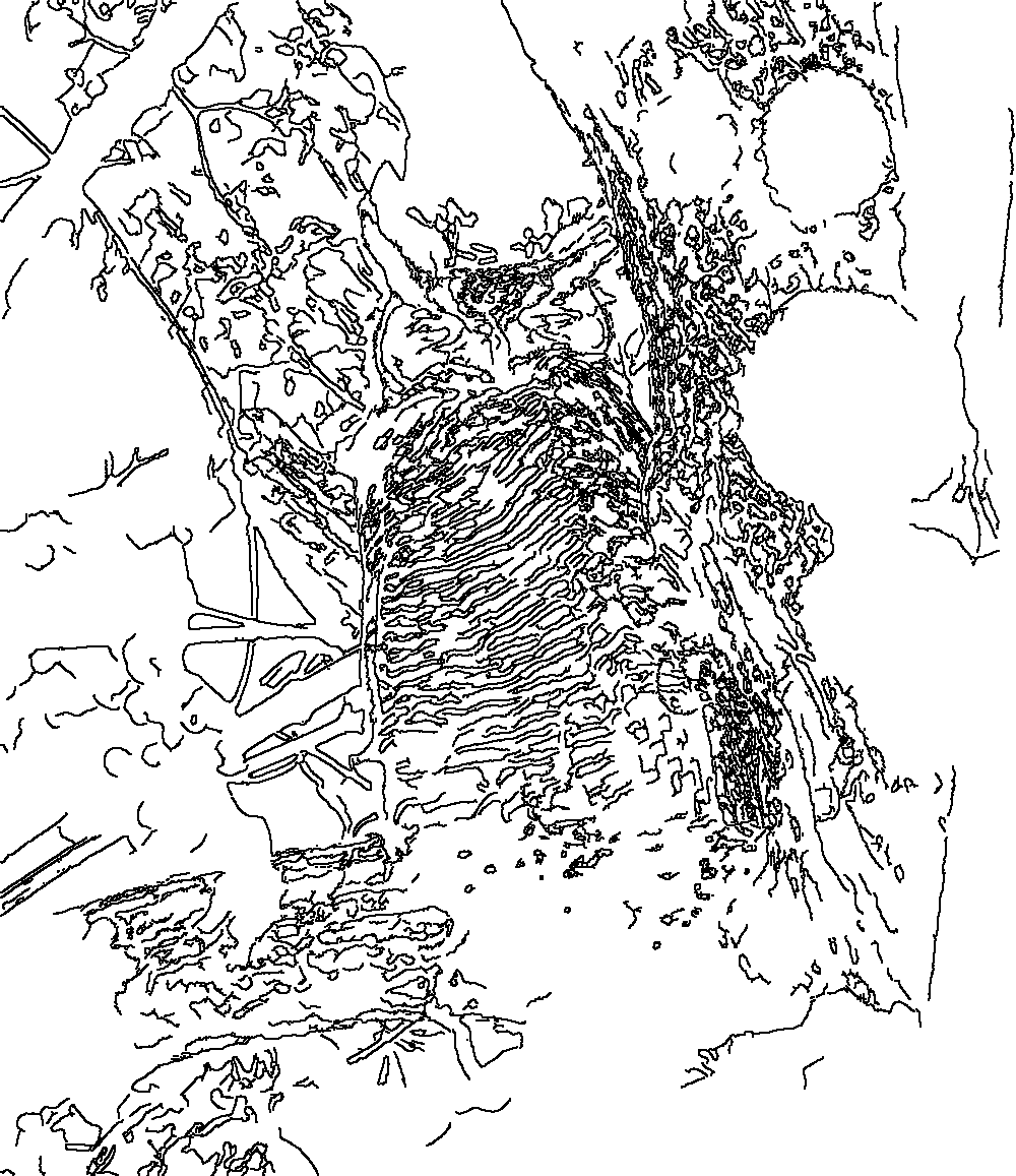 Owl 136