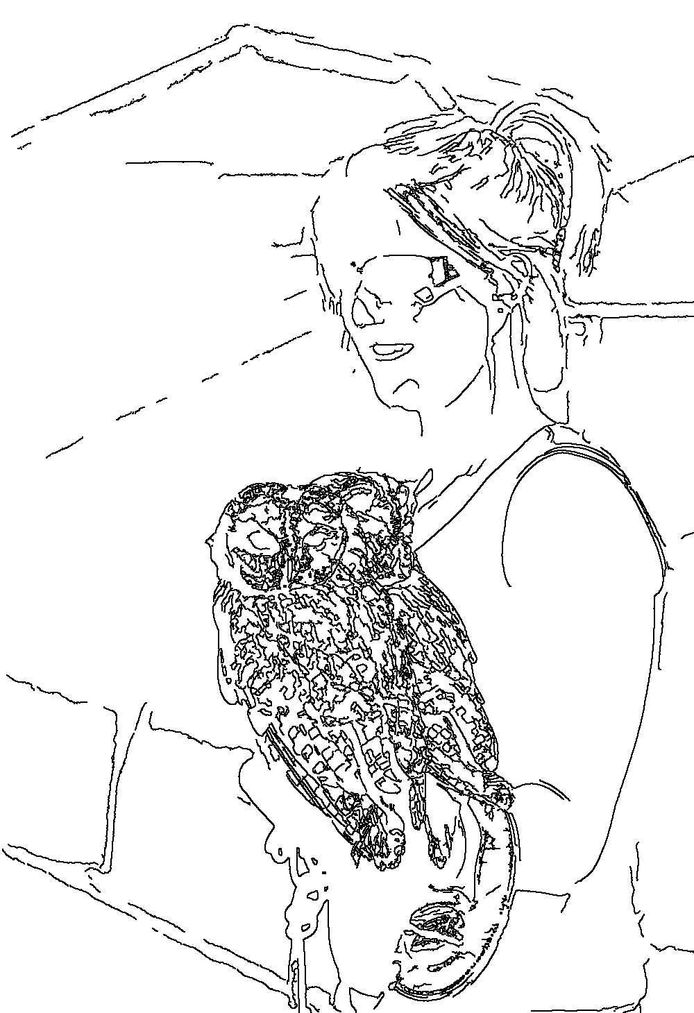Owl 138