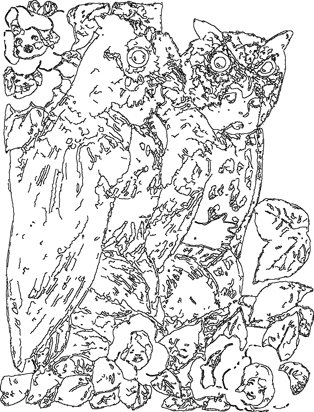 Owl 140