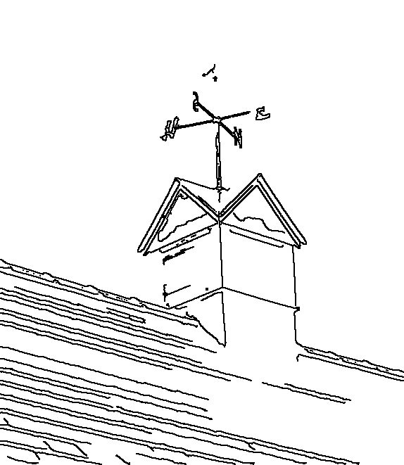 Owl 148