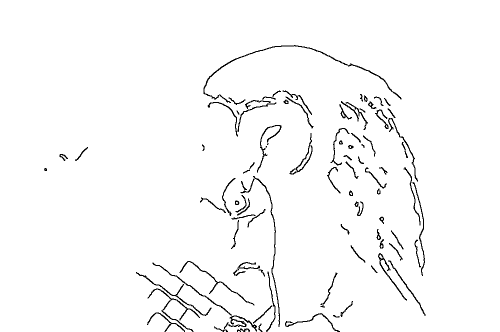 Owl 149