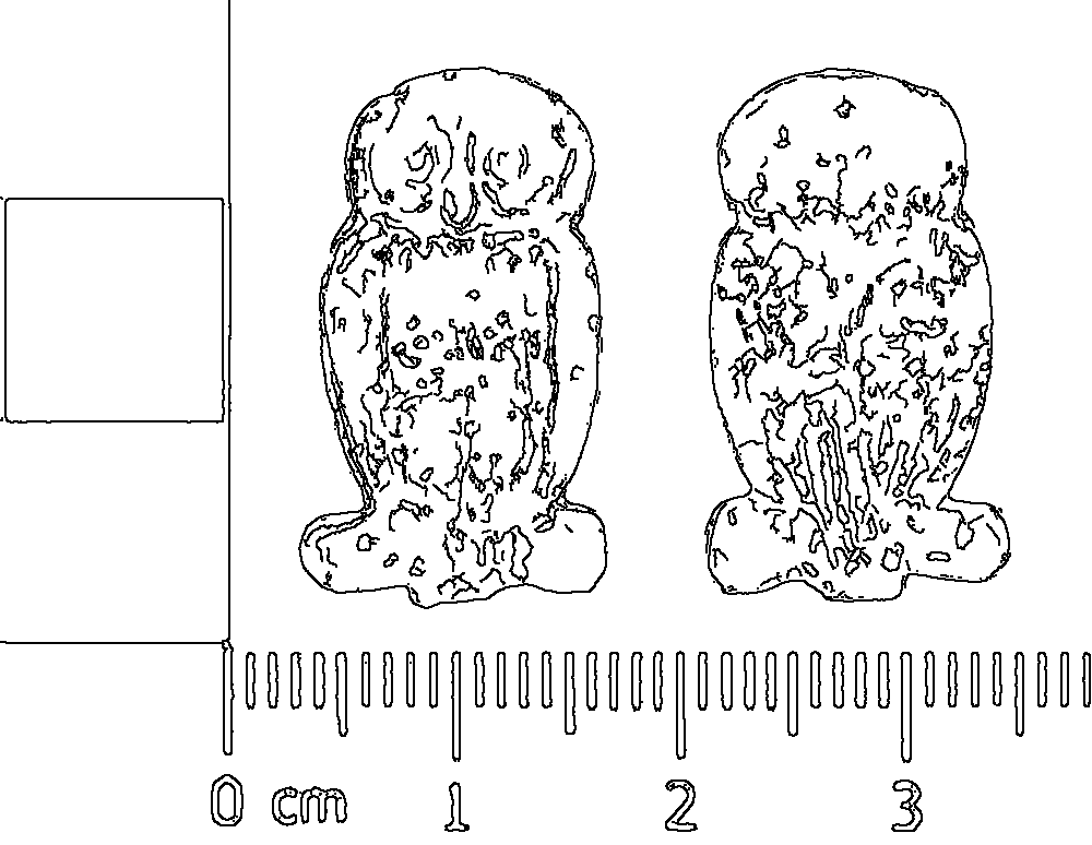 Owl 151