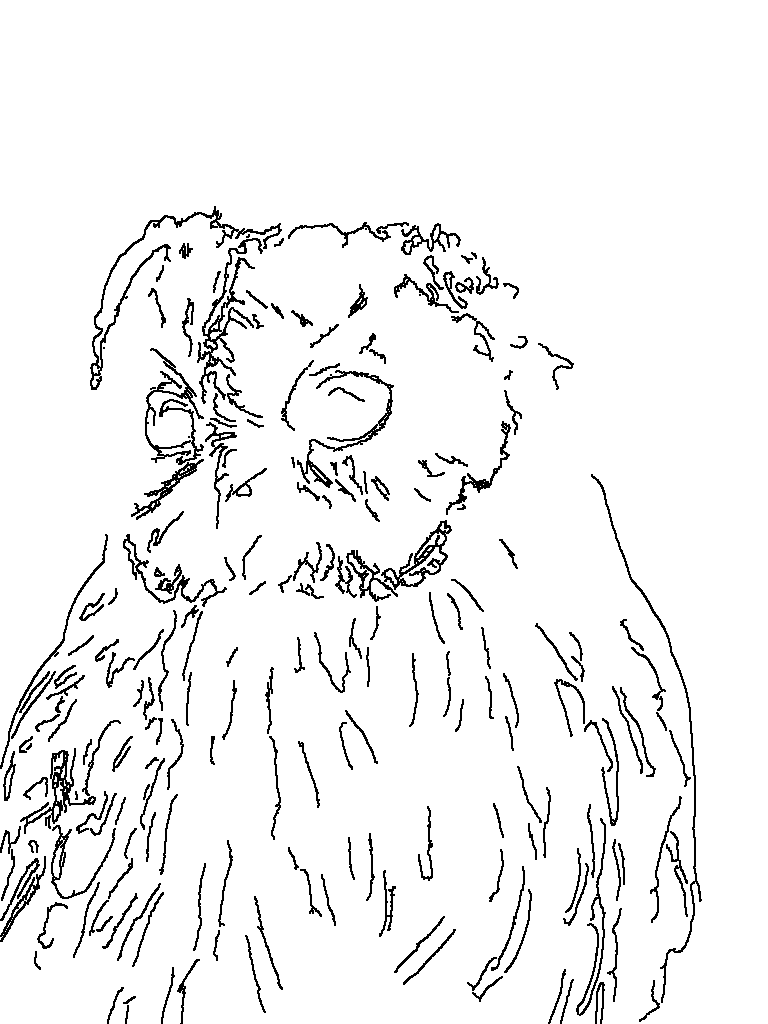 Owl 156