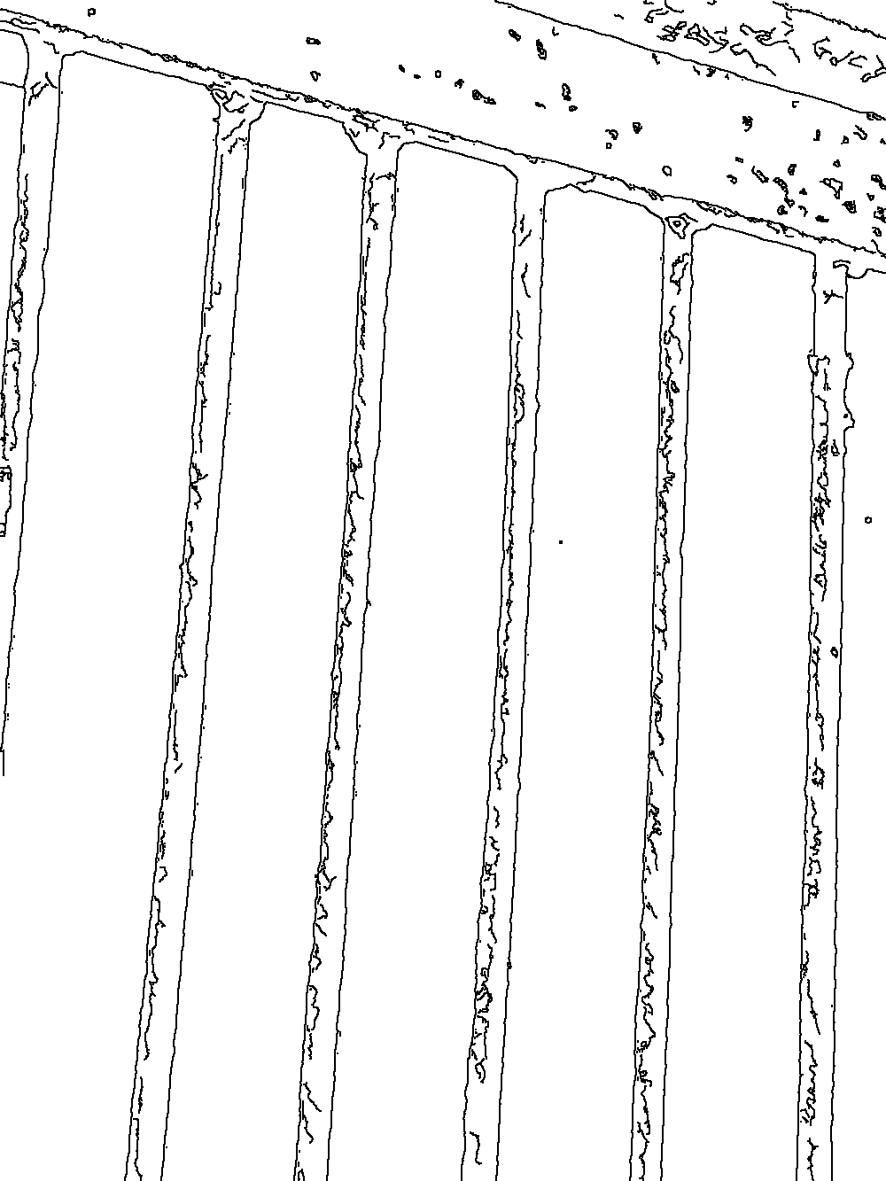 Owl 164