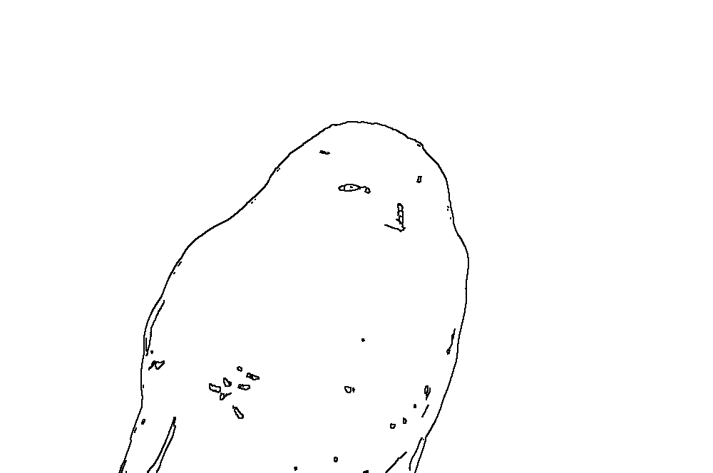 Owl 165