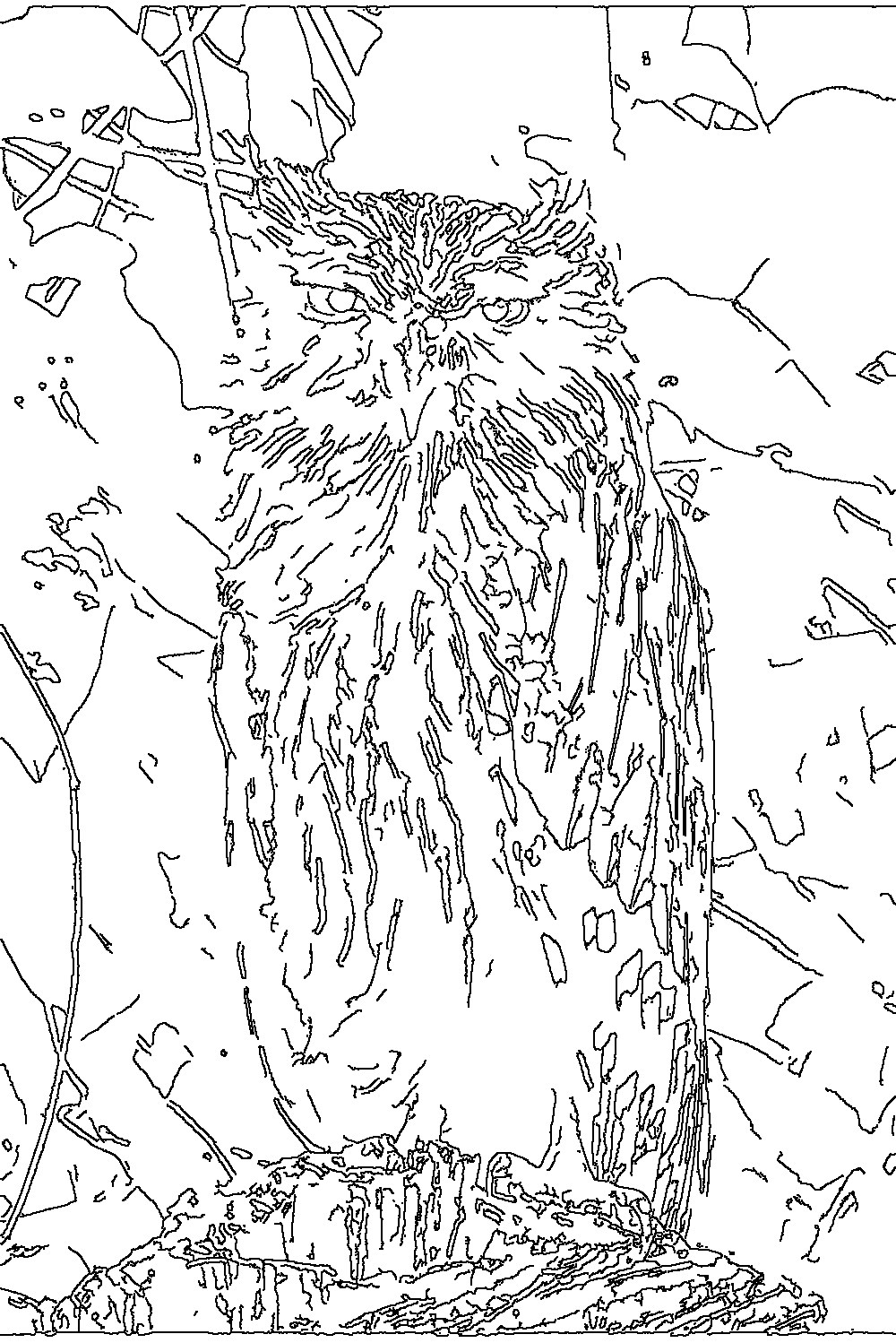 Owl 170