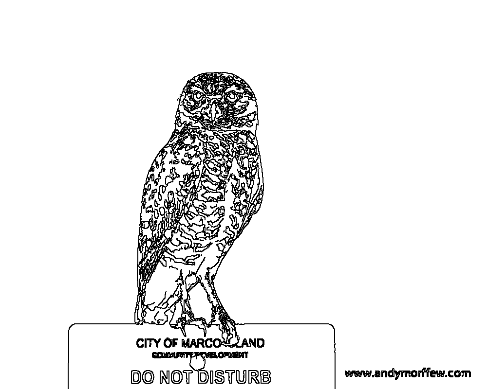 Owl 172