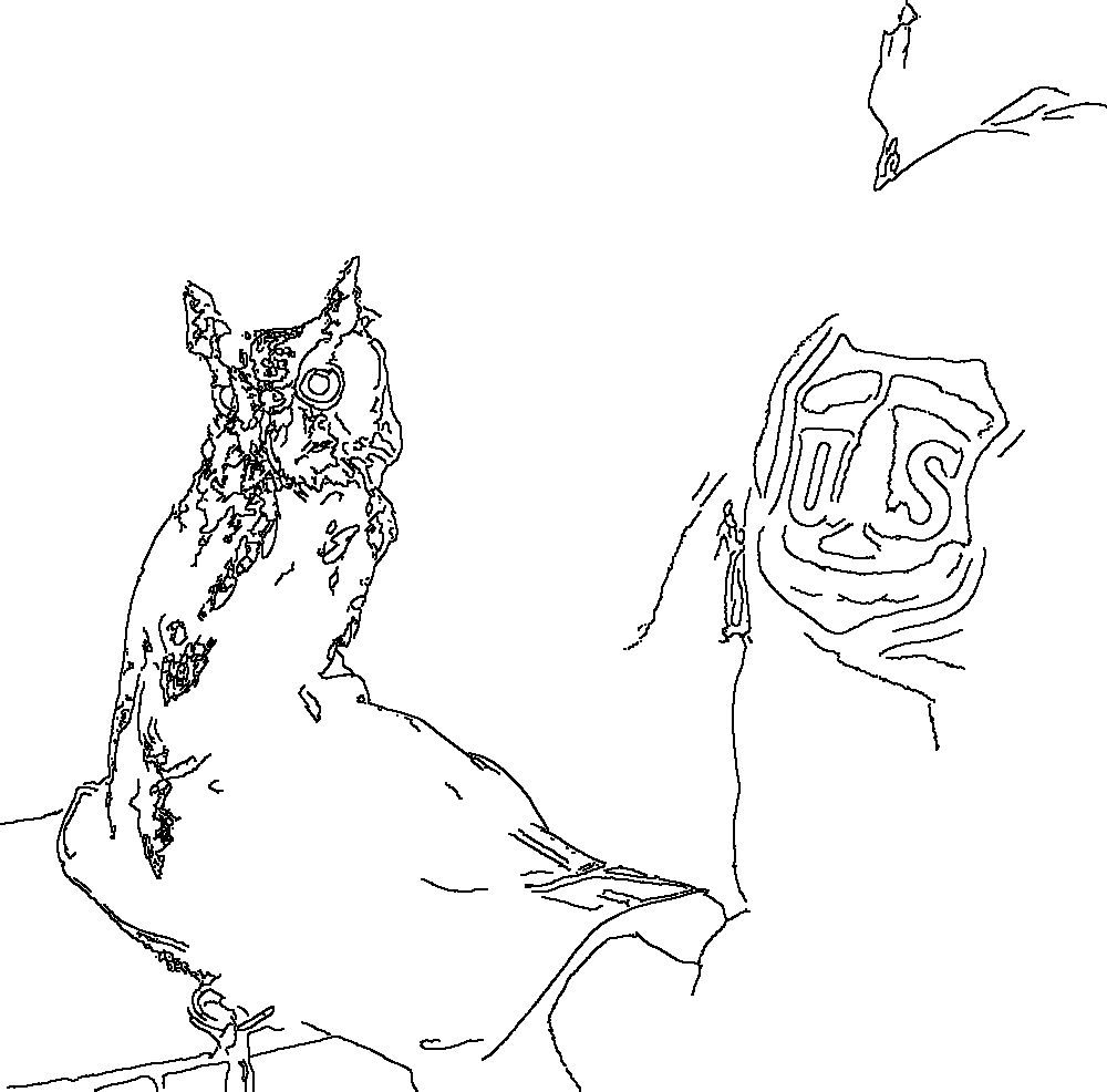 Owl 175