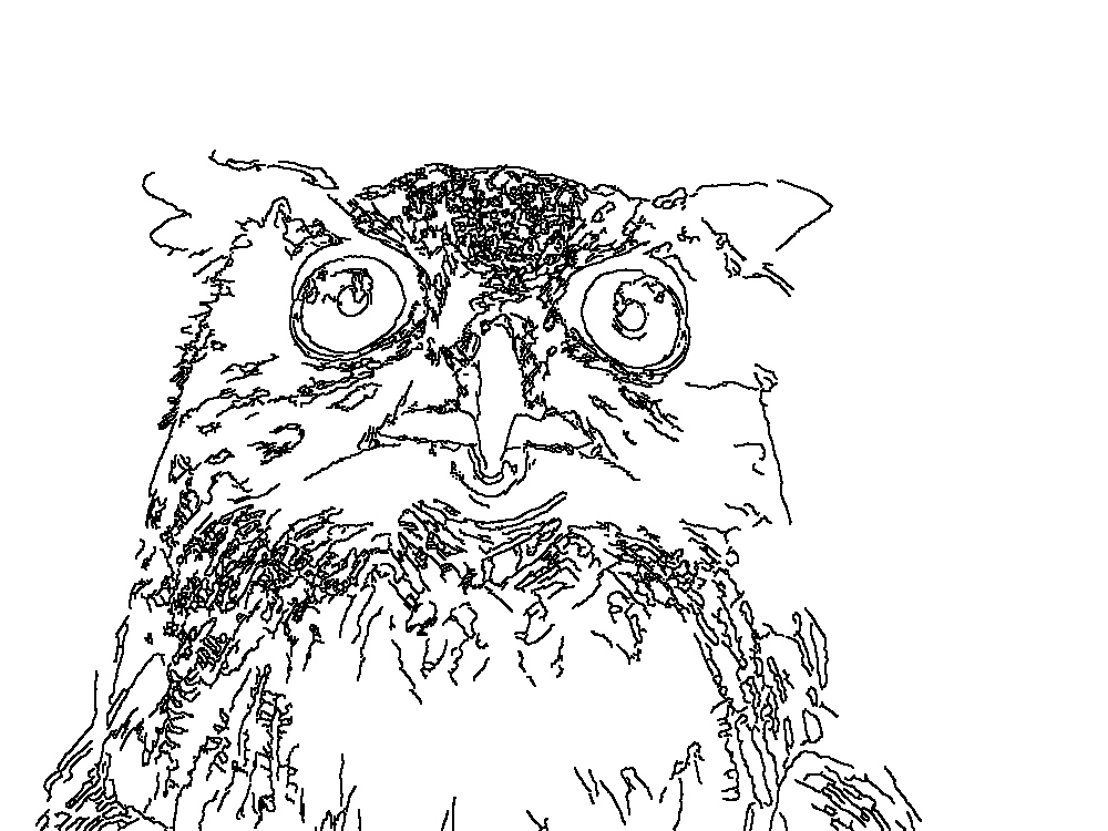 Owl 176