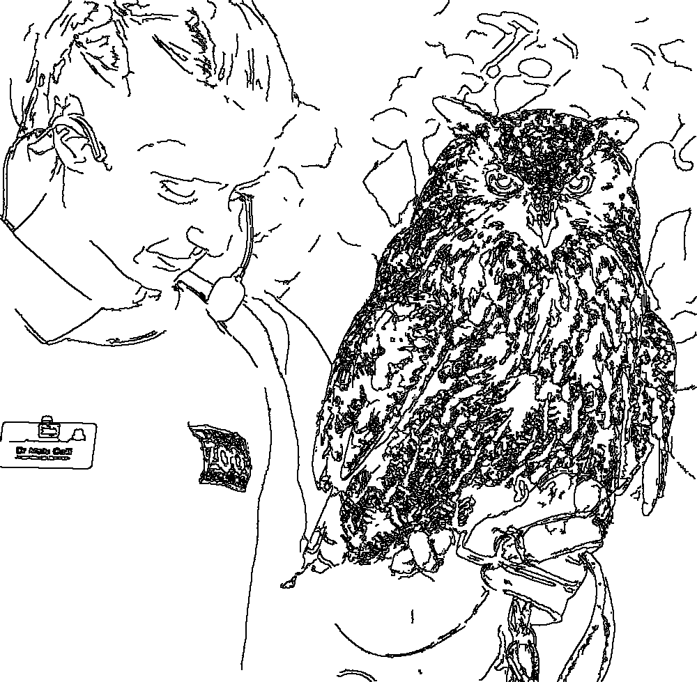Owl 178