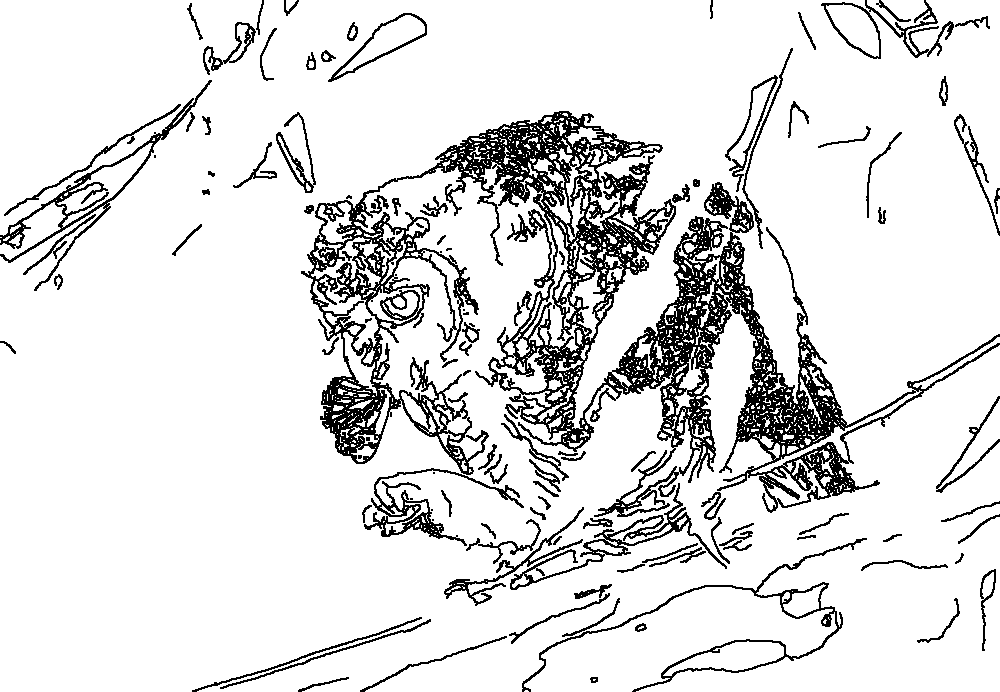 Owl 179