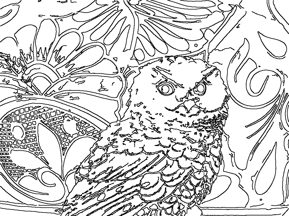 Owl 188