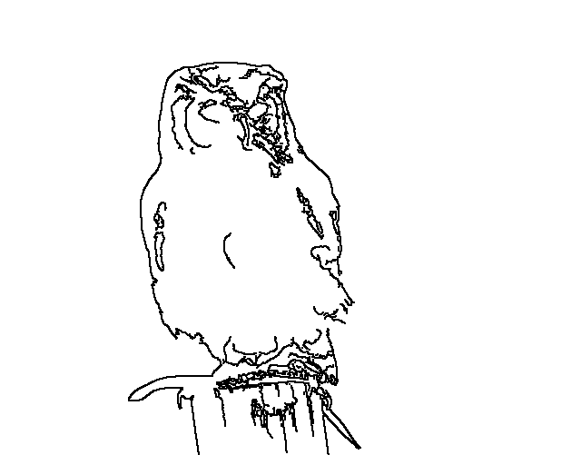 Owl 190