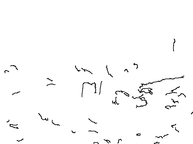 Owl 191