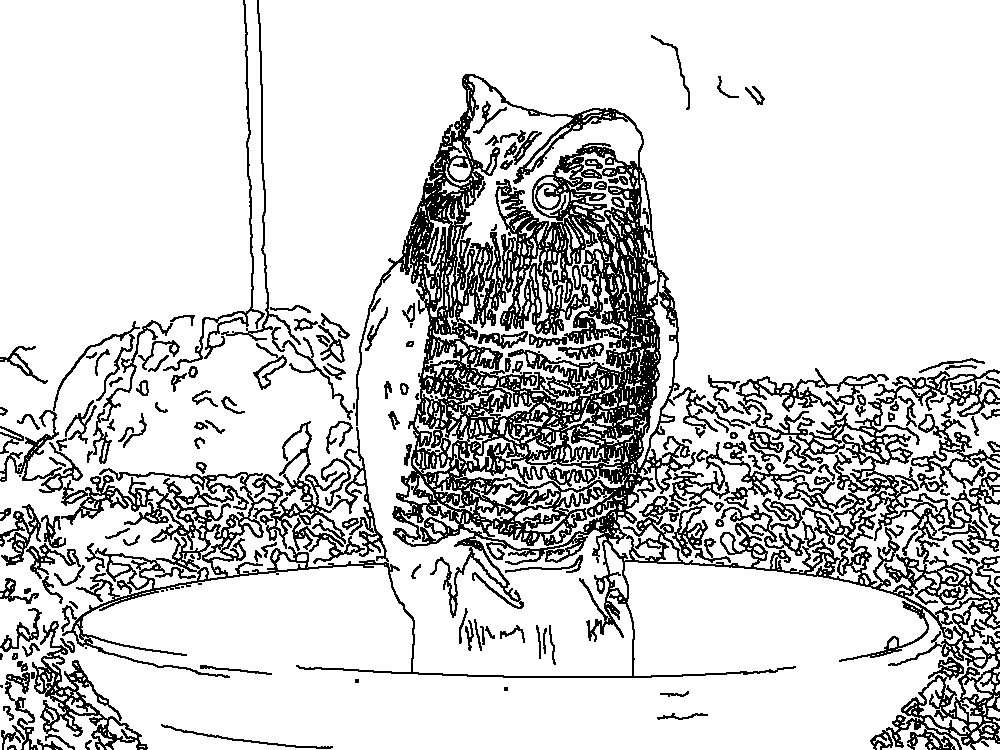 Owl 193