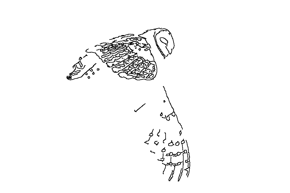 Owl 210