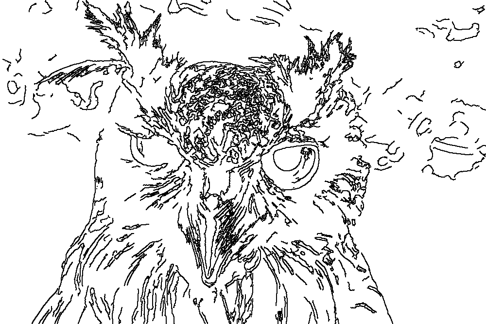 Owl 220