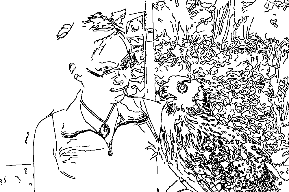 Owl 221