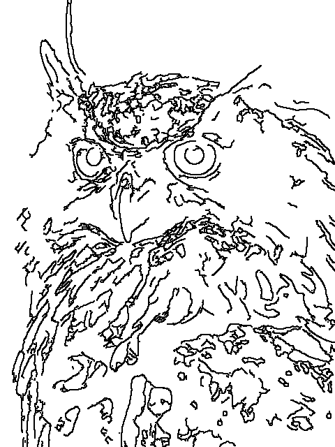 Owl 222