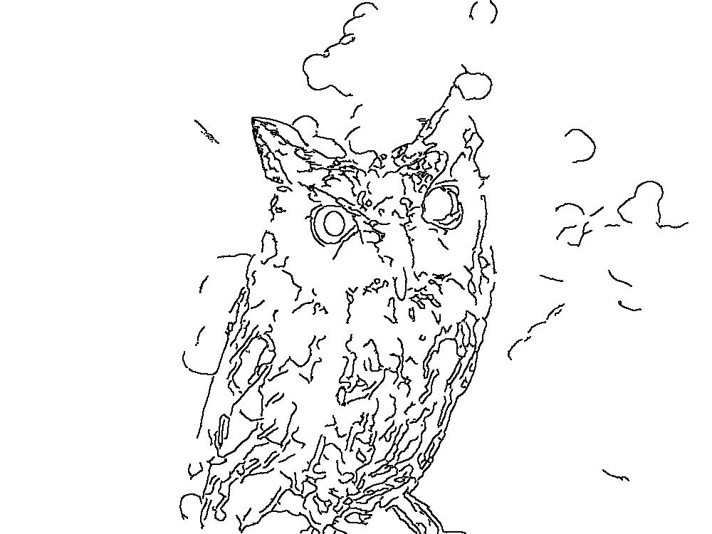 Owl 226