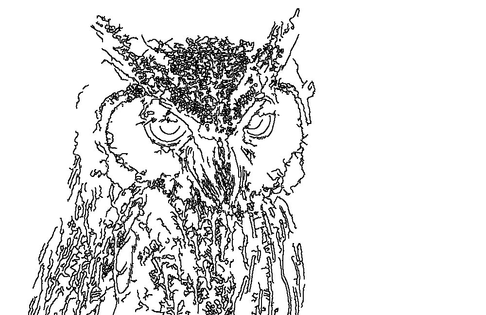 Owl 234