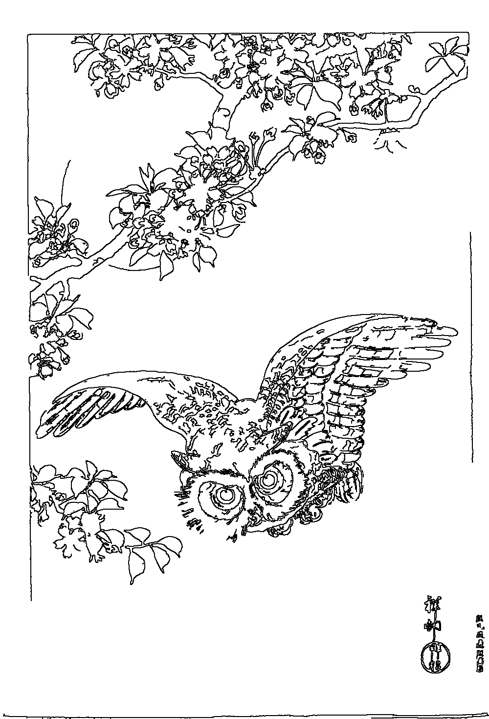 Owl 248