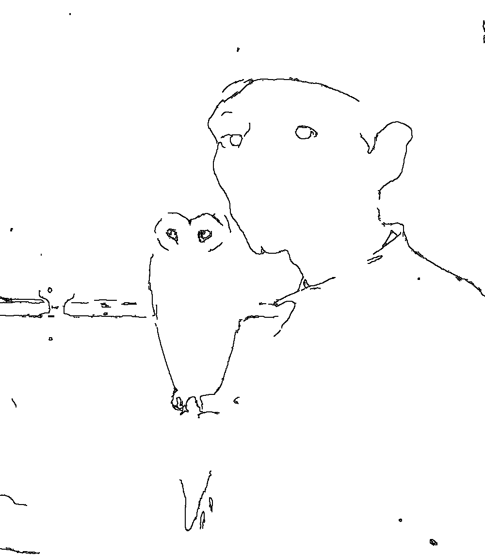 Owl 299